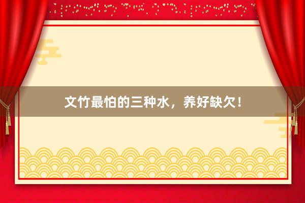 文竹最怕的三种水，养好缺欠！