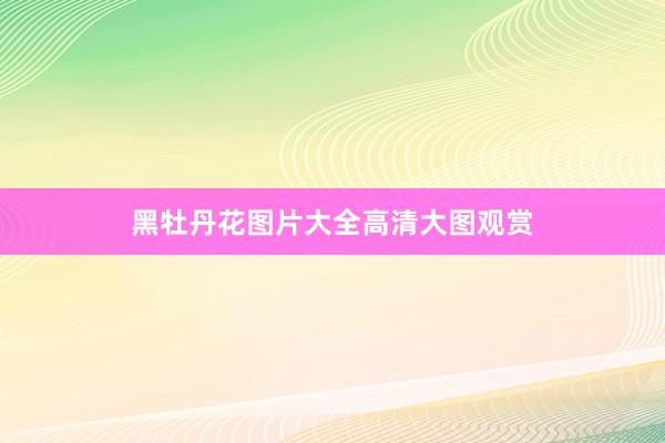 黑牡丹花图片大全高清大图观赏